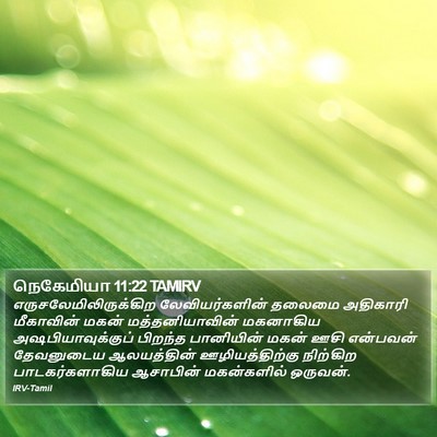 நெகேமியா 11:22 TAMIRV Bible Verse Image
