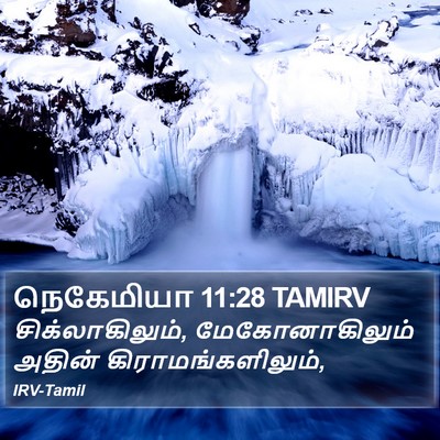நெகேமியா 11:28 TAMIRV Bible Verse Image