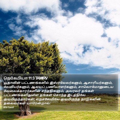 நெகேமியா 11:3 TAMIRV Bible Verse Image