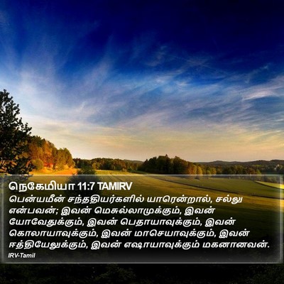 நெகேமியா 11:7 TAMIRV Bible Verse Image