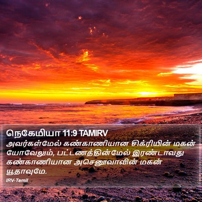 நெகேமியா 11:9 TAMIRV Bible Verse Image