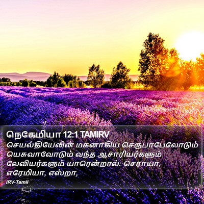 நெகேமியா 12:1 TAMIRV Bible Verse Image