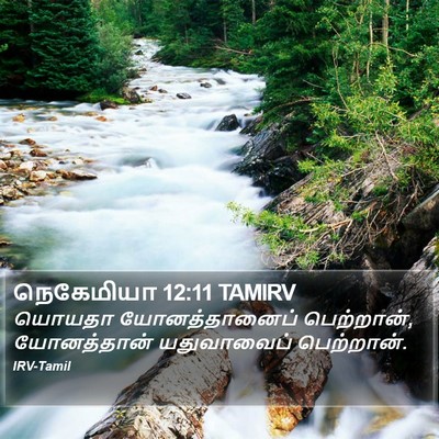 நெகேமியா 12:11 TAMIRV Bible Verse Image