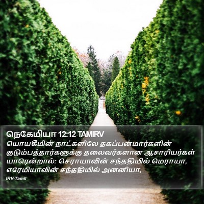 நெகேமியா 12:12 TAMIRV Bible Verse Image