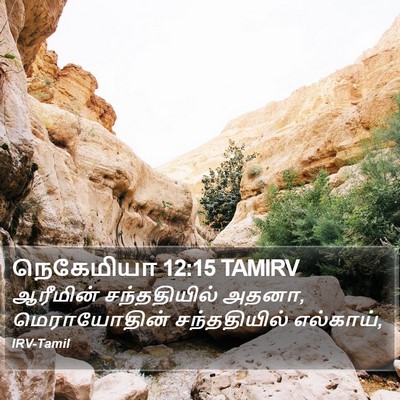 நெகேமியா 12:15 TAMIRV Bible Verse Image
