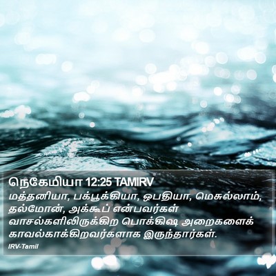 நெகேமியா 12:25 TAMIRV Bible Verse Image