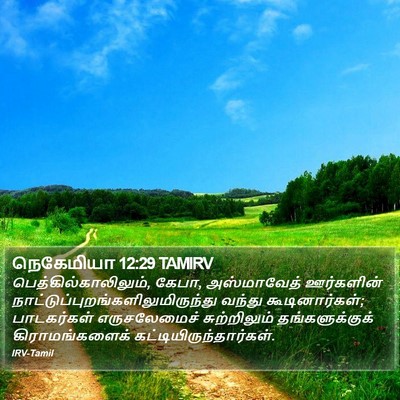 நெகேமியா 12:29 TAMIRV Bible Verse Image