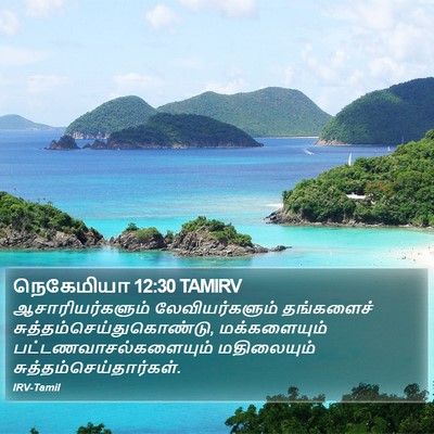 நெகேமியா 12:30 TAMIRV Bible Verse Image