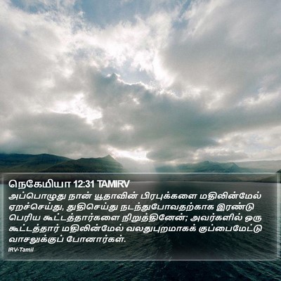 நெகேமியா 12:31 TAMIRV Bible Verse Image