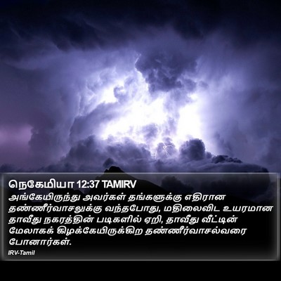 நெகேமியா 12:37 TAMIRV Bible Verse Image