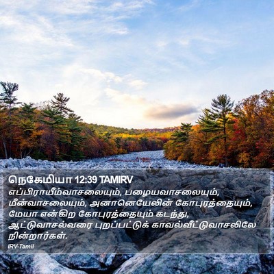 நெகேமியா 12:39 TAMIRV Bible Verse Image