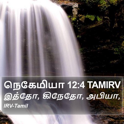நெகேமியா 12:4 TAMIRV Bible Verse Image