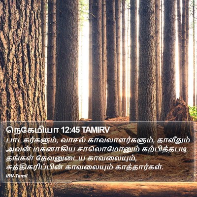நெகேமியா 12:45 TAMIRV Bible Verse Image