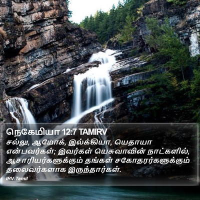 நெகேமியா 12:7 TAMIRV Bible Verse Image