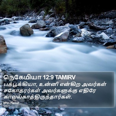 நெகேமியா 12:9 TAMIRV Bible Verse Image