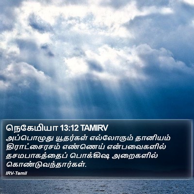 நெகேமியா 13:12 TAMIRV Bible Verse Image
