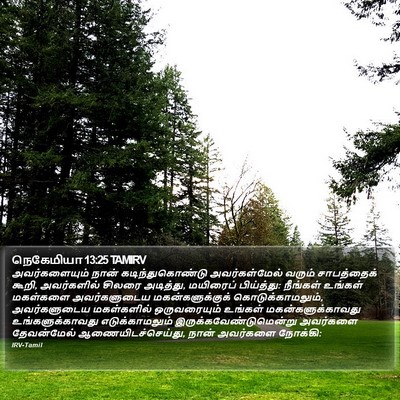 நெகேமியா 13:25 TAMIRV Bible Verse Image