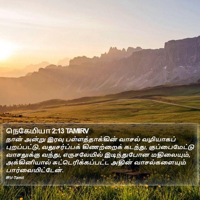 நெகேமியா 2:13 TAMIRV Bible Verse Image