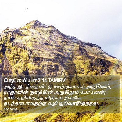 நெகேமியா 2:14 TAMIRV Bible Verse Image