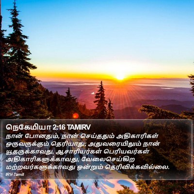 நெகேமியா 2:16 TAMIRV Bible Verse Image