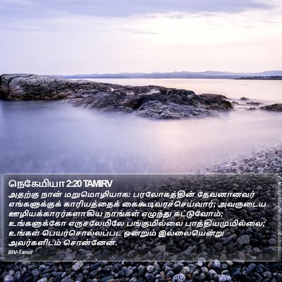 நெகேமியா 2:20 TAMIRV Bible Verse Image