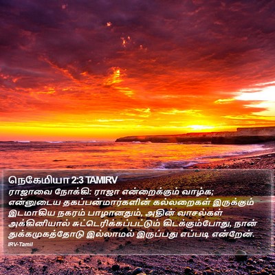 நெகேமியா 2:3 TAMIRV Bible Verse Image