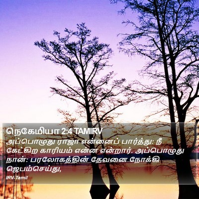 நெகேமியா 2:4 TAMIRV Bible Verse Image