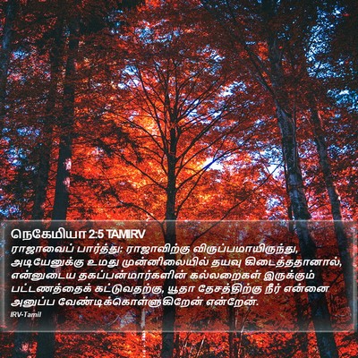 நெகேமியா 2:5 TAMIRV Bible Verse Image