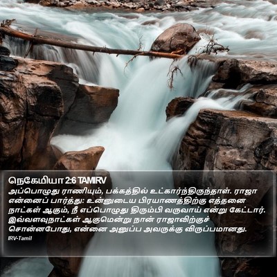 நெகேமியா 2:6 TAMIRV Bible Verse Image