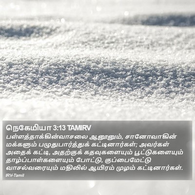 நெகேமியா 3:13 TAMIRV Bible Verse Image