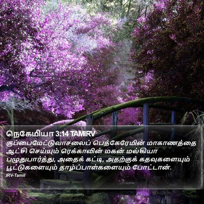 நெகேமியா 3:14 TAMIRV Bible Verse Image