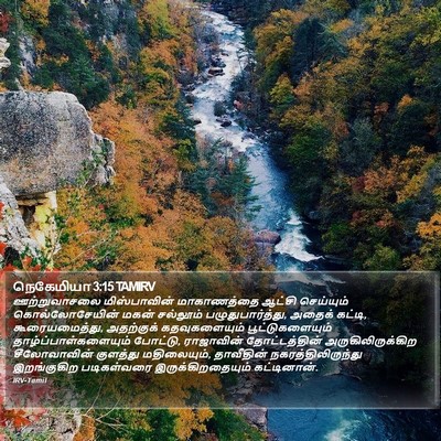 நெகேமியா 3:15 TAMIRV Bible Verse Image