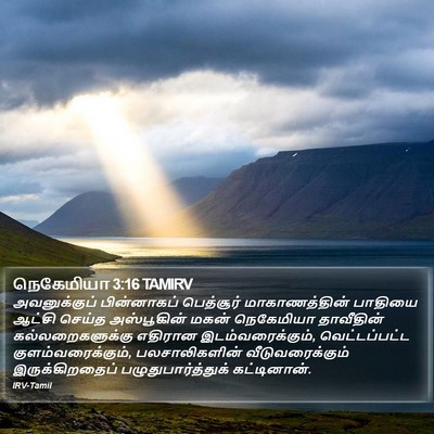 நெகேமியா 3:16 TAMIRV Bible Verse Image