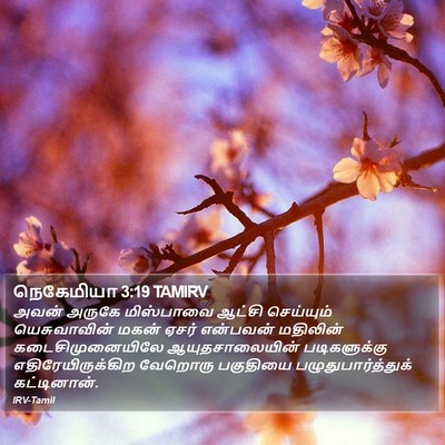 நெகேமியா 3:19 TAMIRV Bible Verse Image