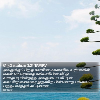 நெகேமியா 3:21 TAMIRV Bible Verse Image