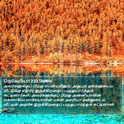 நெகேமியா 3:23 TAMIRV Bible Verse Image