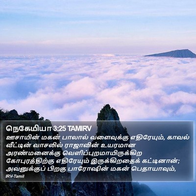 நெகேமியா 3:25 TAMIRV Bible Verse Image