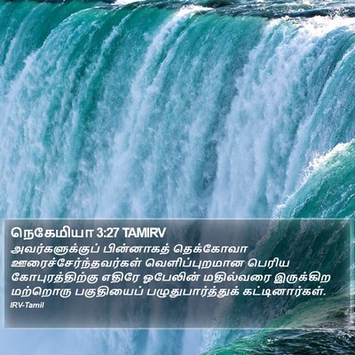 நெகேமியா 3:27 TAMIRV Bible Verse Image