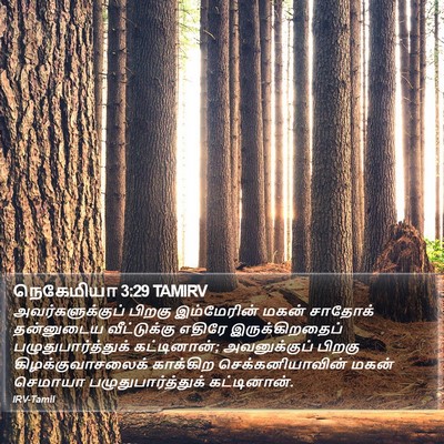 நெகேமியா 3:29 TAMIRV Bible Verse Image