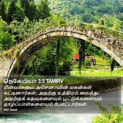 நெகேமியா 3:3 TAMIRV Bible Verse Image