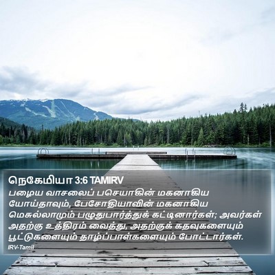 நெகேமியா 3:6 TAMIRV Bible Verse Image