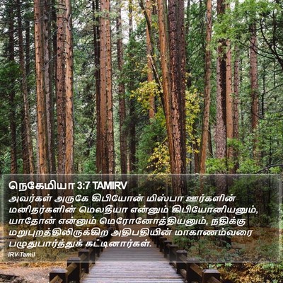 நெகேமியா 3:7 TAMIRV Bible Verse Image