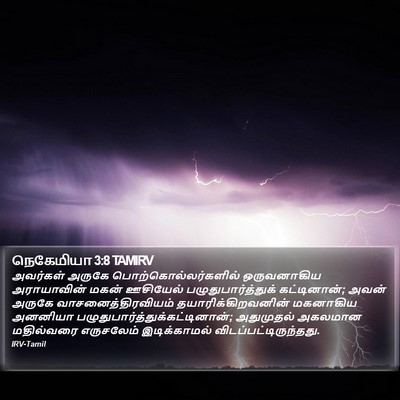 நெகேமியா 3:8 TAMIRV Bible Verse Image