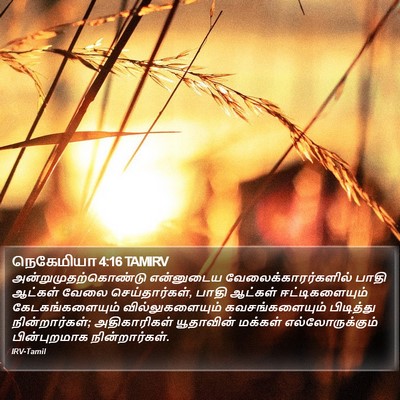 நெகேமியா 4:16 TAMIRV Bible Verse Image