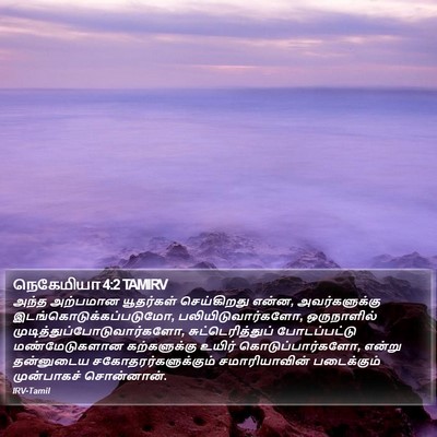 நெகேமியா 4:2 TAMIRV Bible Verse Image
