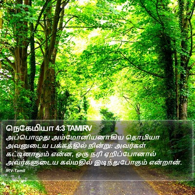 நெகேமியா 4:3 TAMIRV Bible Verse Image
