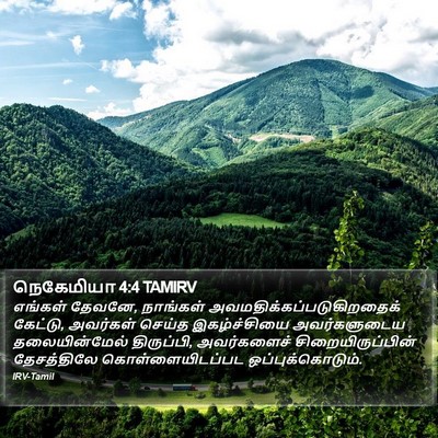 நெகேமியா 4:4 TAMIRV Bible Verse Image