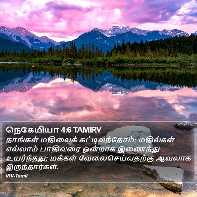 நெகேமியா 4:6 TAMIRV Bible Verse Image