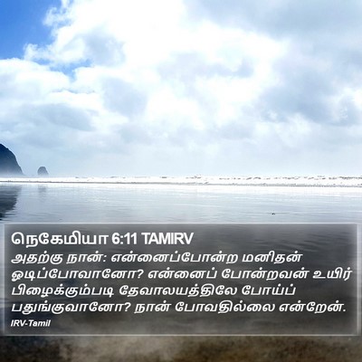 நெகேமியா 6:11 TAMIRV Bible Verse Image