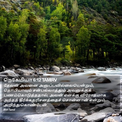 நெகேமியா 6:12 TAMIRV Bible Verse Image